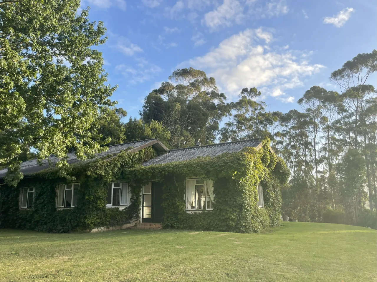 Laila's Honeywood Accommodation