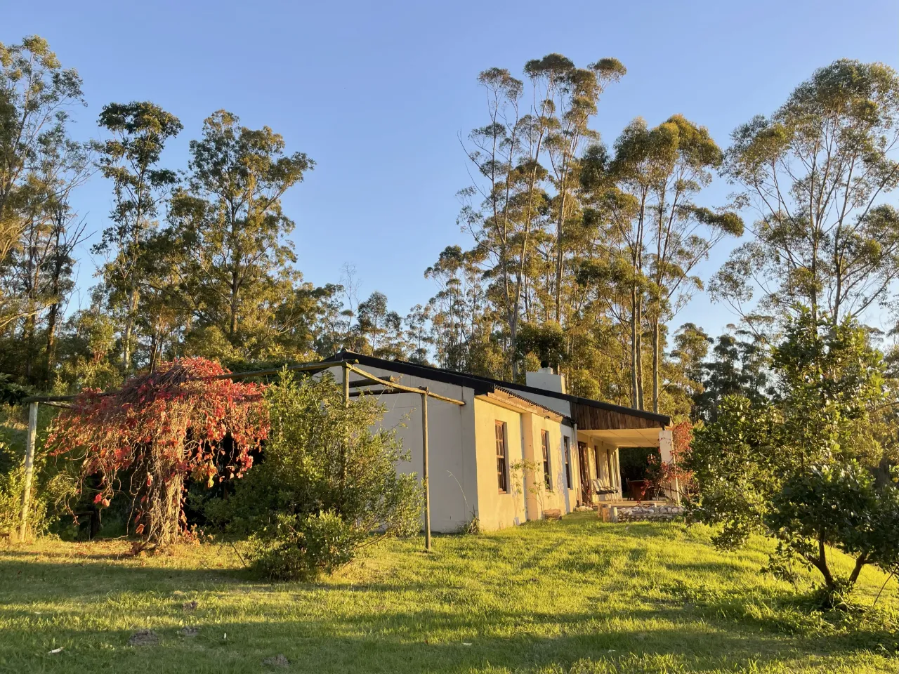 Oakvale Honeywood Accommodation